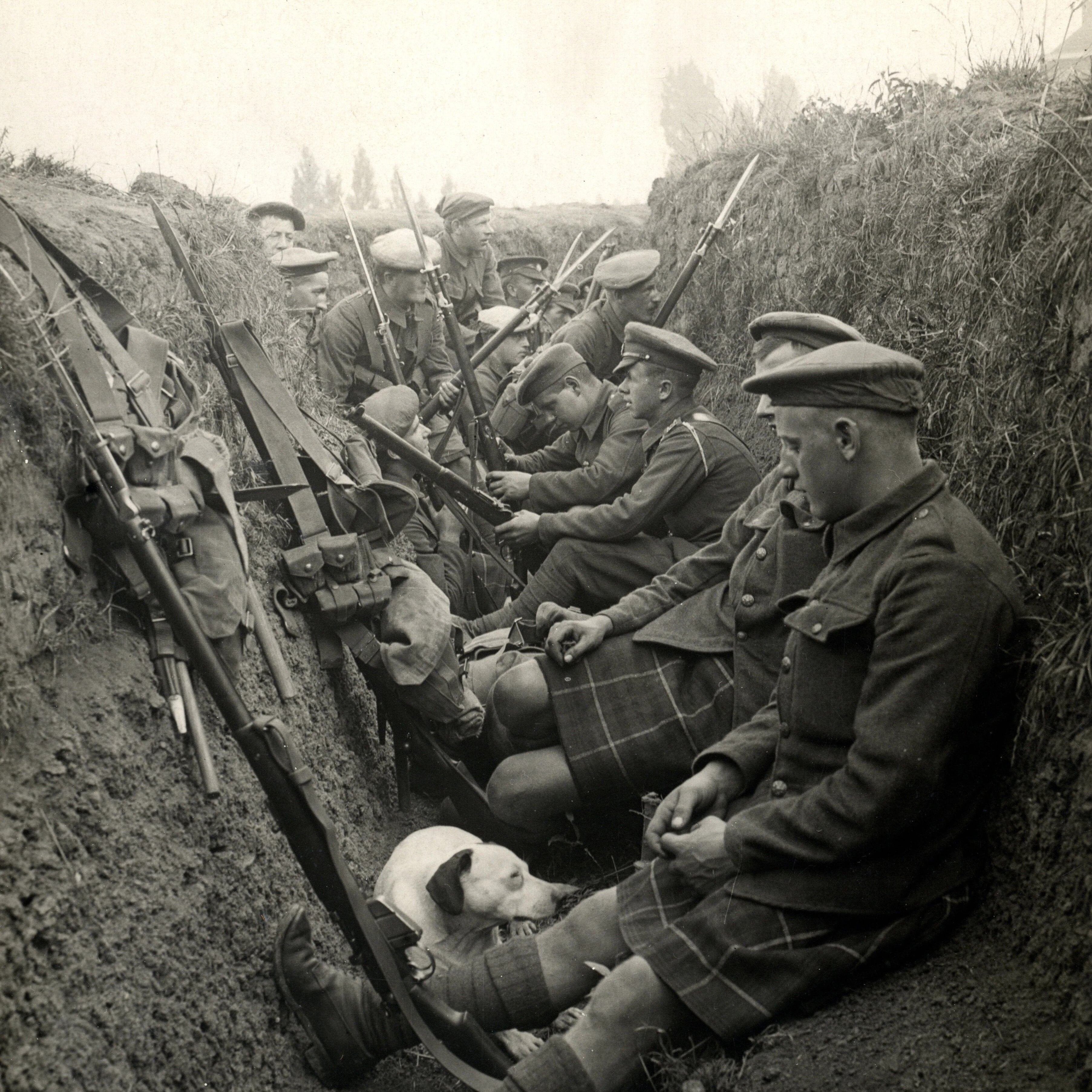 Tinned Fish on the Frontlines