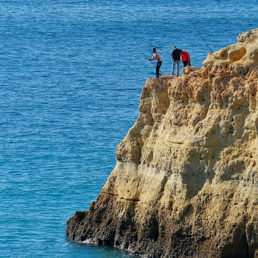 Along the Coast: Seafood from Northern and Southern Portugal