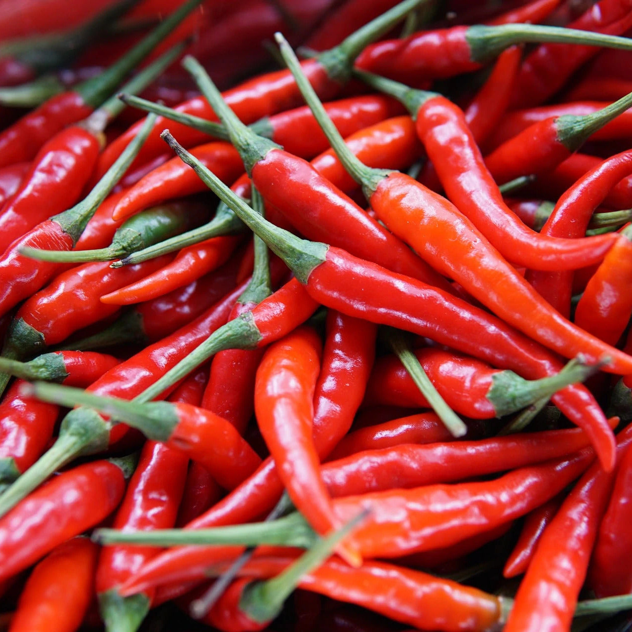 peri peri peppers