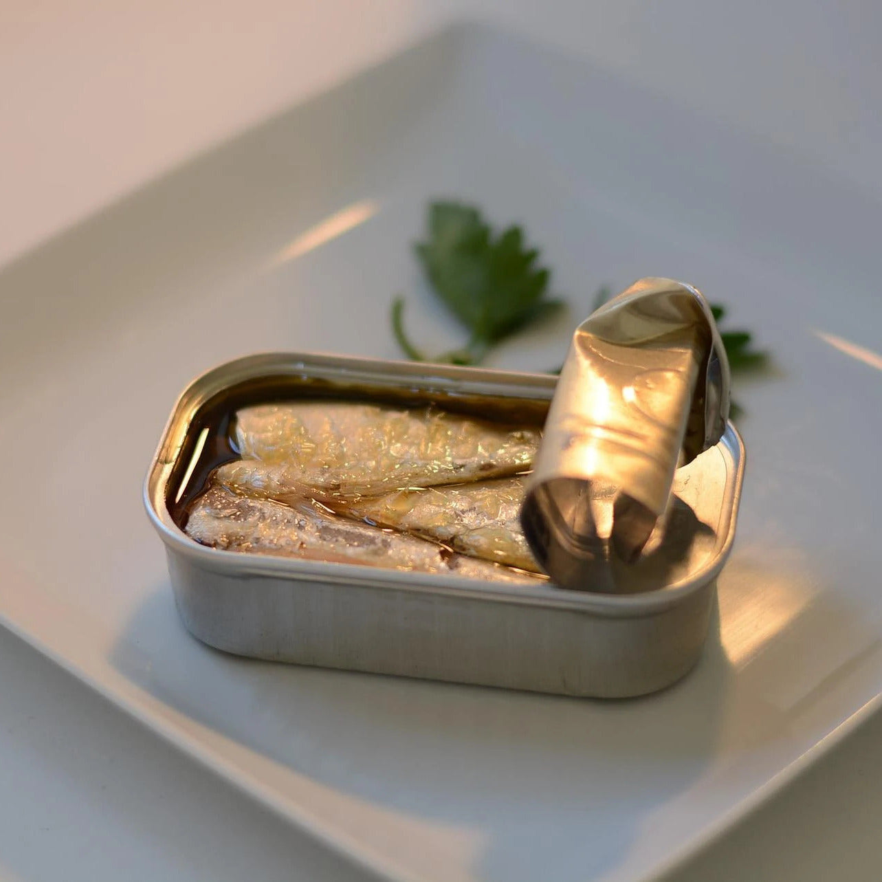 Spanish Mussels, Sardines, and More!