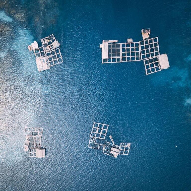 What is aquaculture