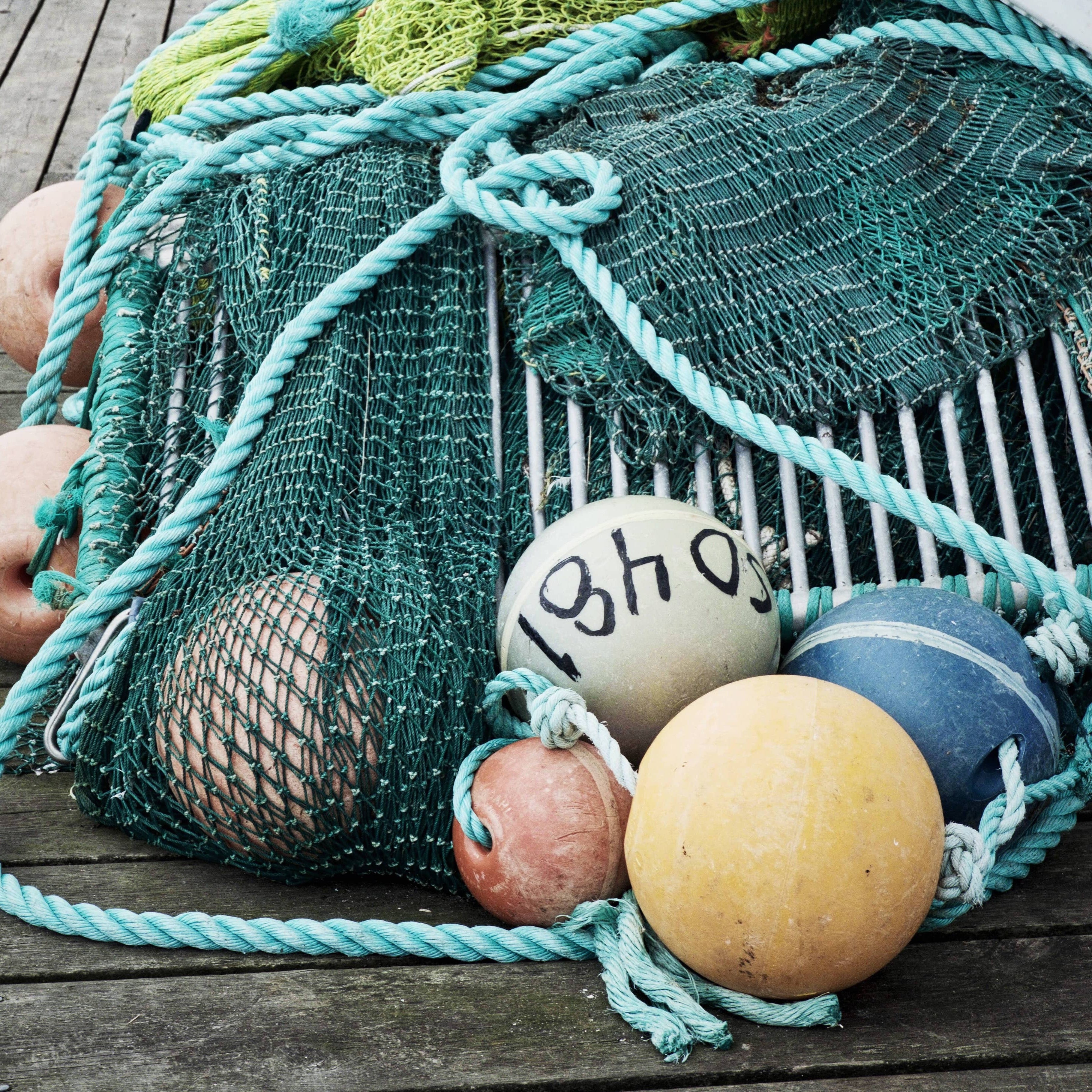 what is bycatch?