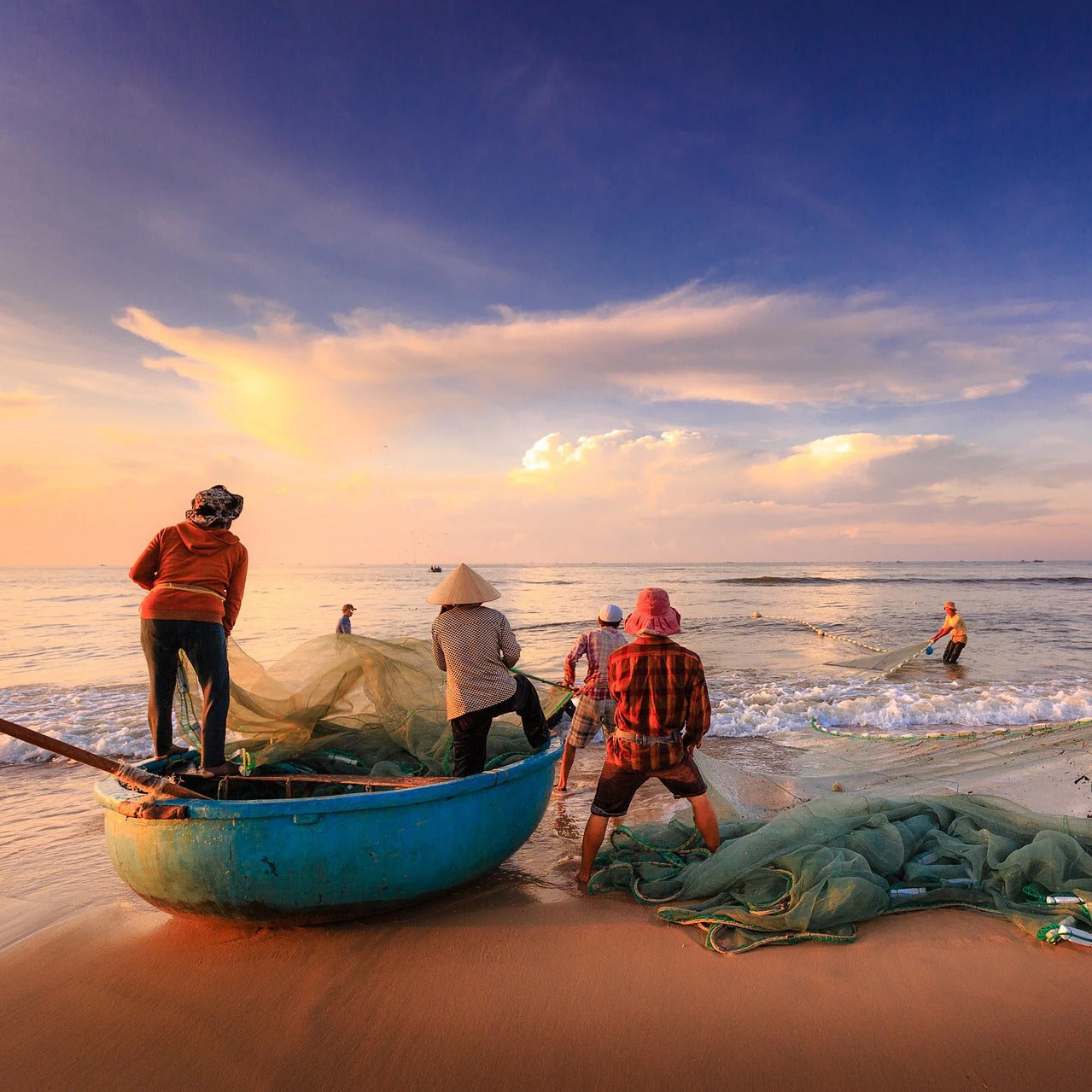 sustainably caught fish, fishing