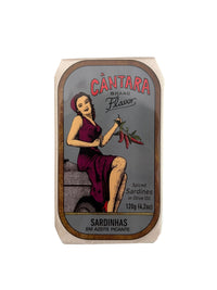 Cantara Brand Spiced Sardines in Olive Oil - 6 Pack