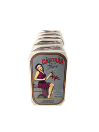 Cantara Brand Spiced Sardines in Olive Oil - 6 Pack