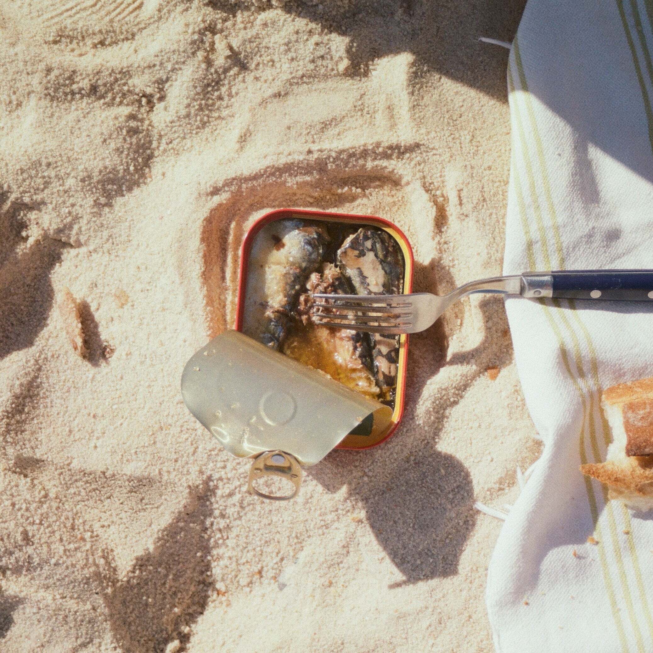 are sardines sustainable?