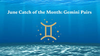Catch of the Month June 2026: Gemini Pairs ♊ ✨