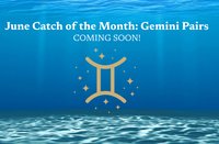 Catch of the Month June 2026: Gemini Pairs ♊ ✨ (Coming Soon!)